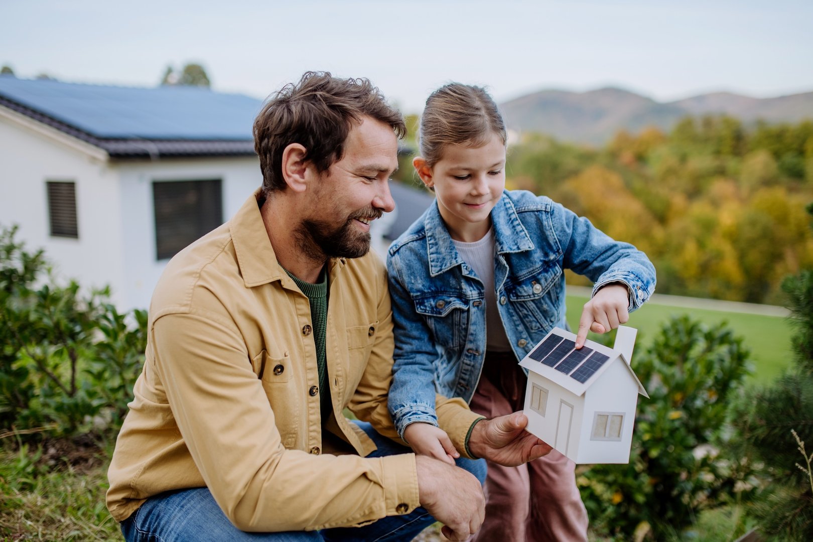 LG solar panel cost