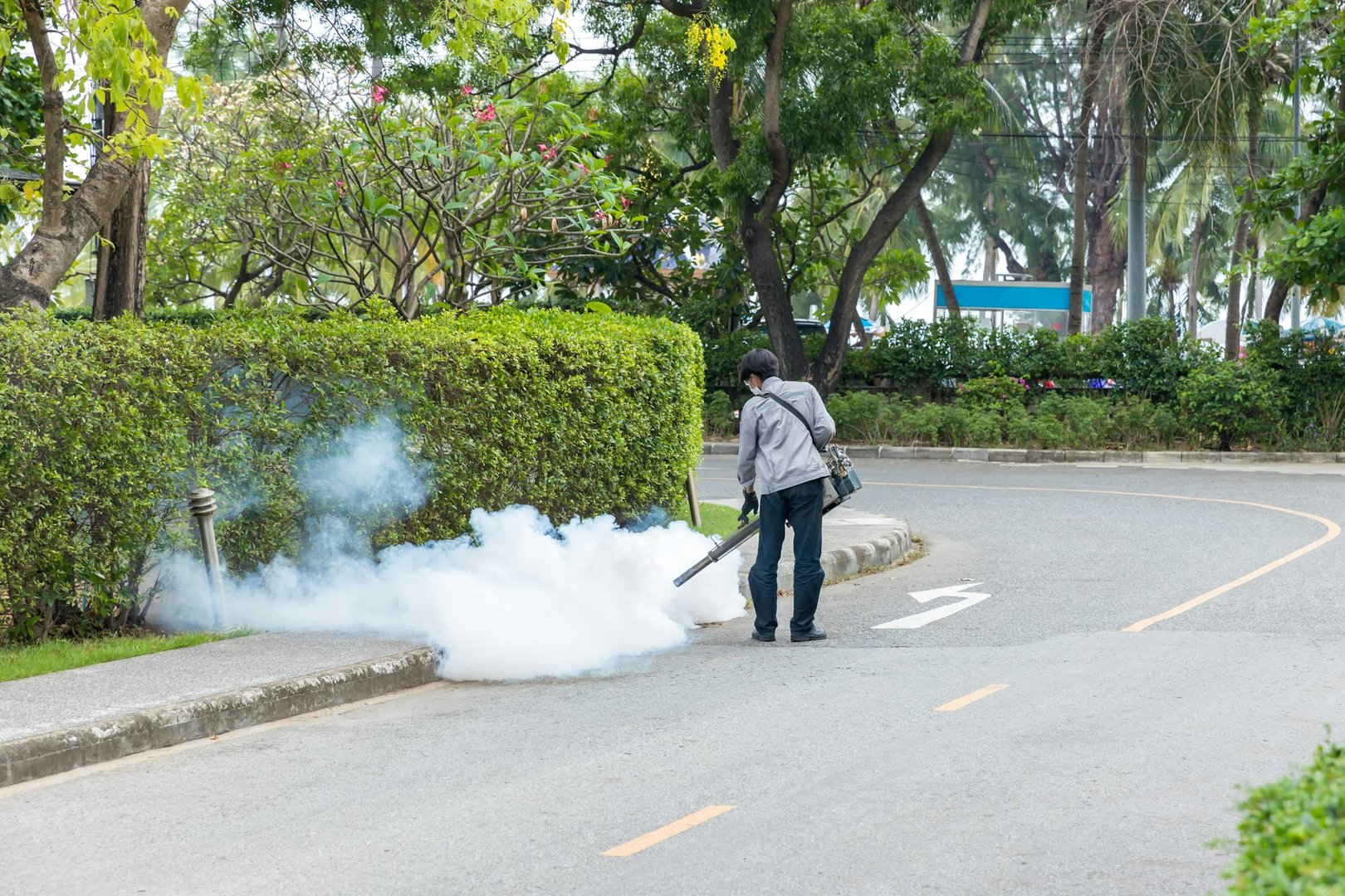 Mosquito Control Guide