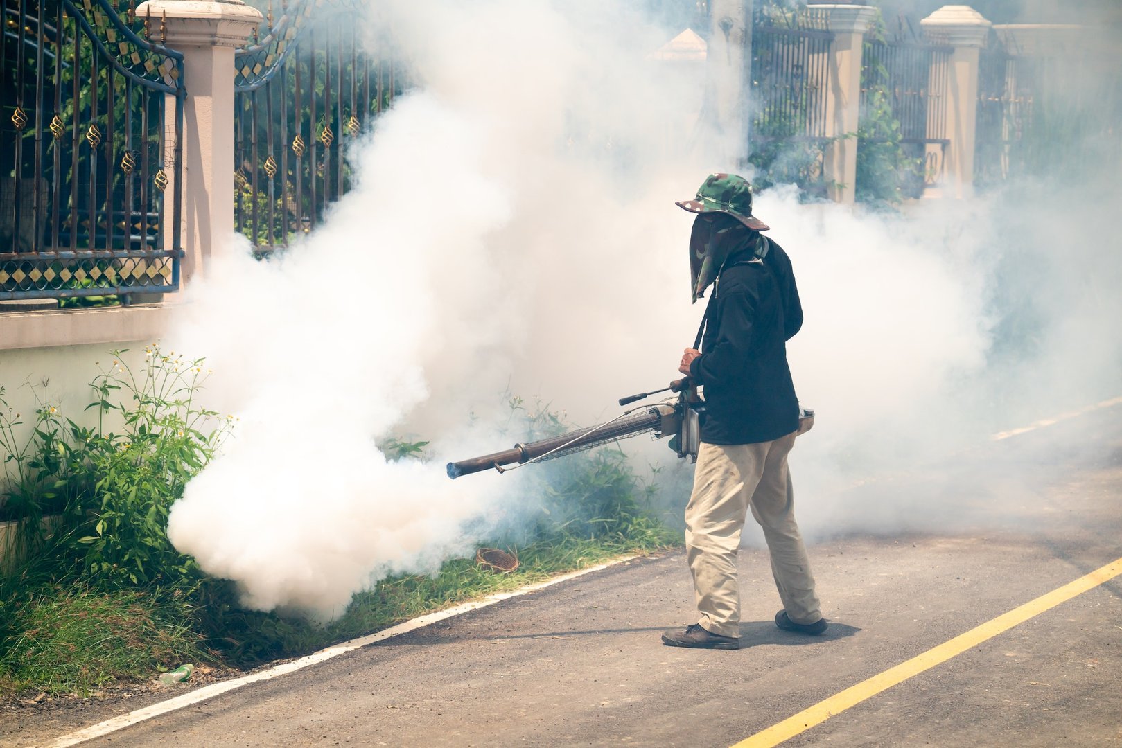 Mosquitoe Control