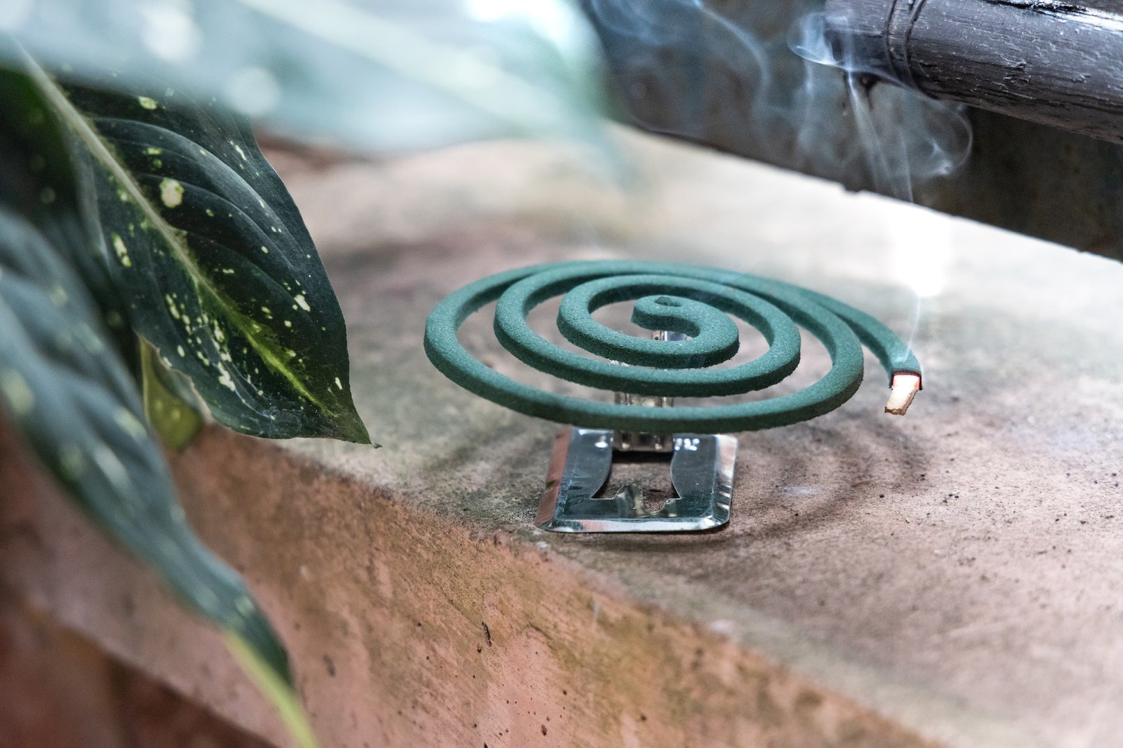 Mosquito Repellent Solutions