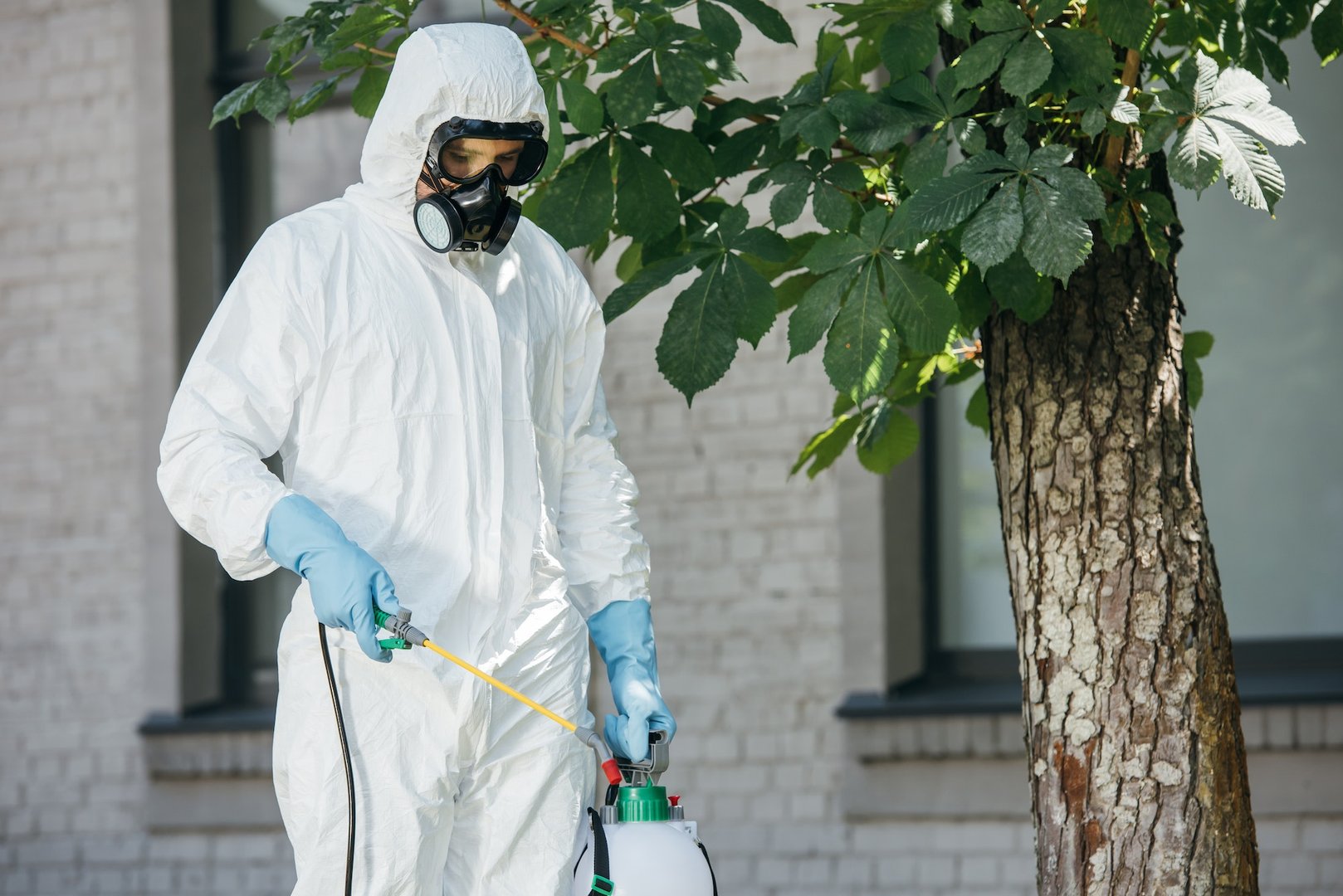 Natural Pest Prevention