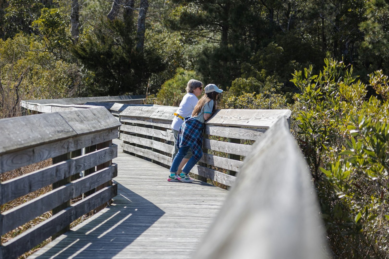 Affordable Medicare Plans in North Carolina