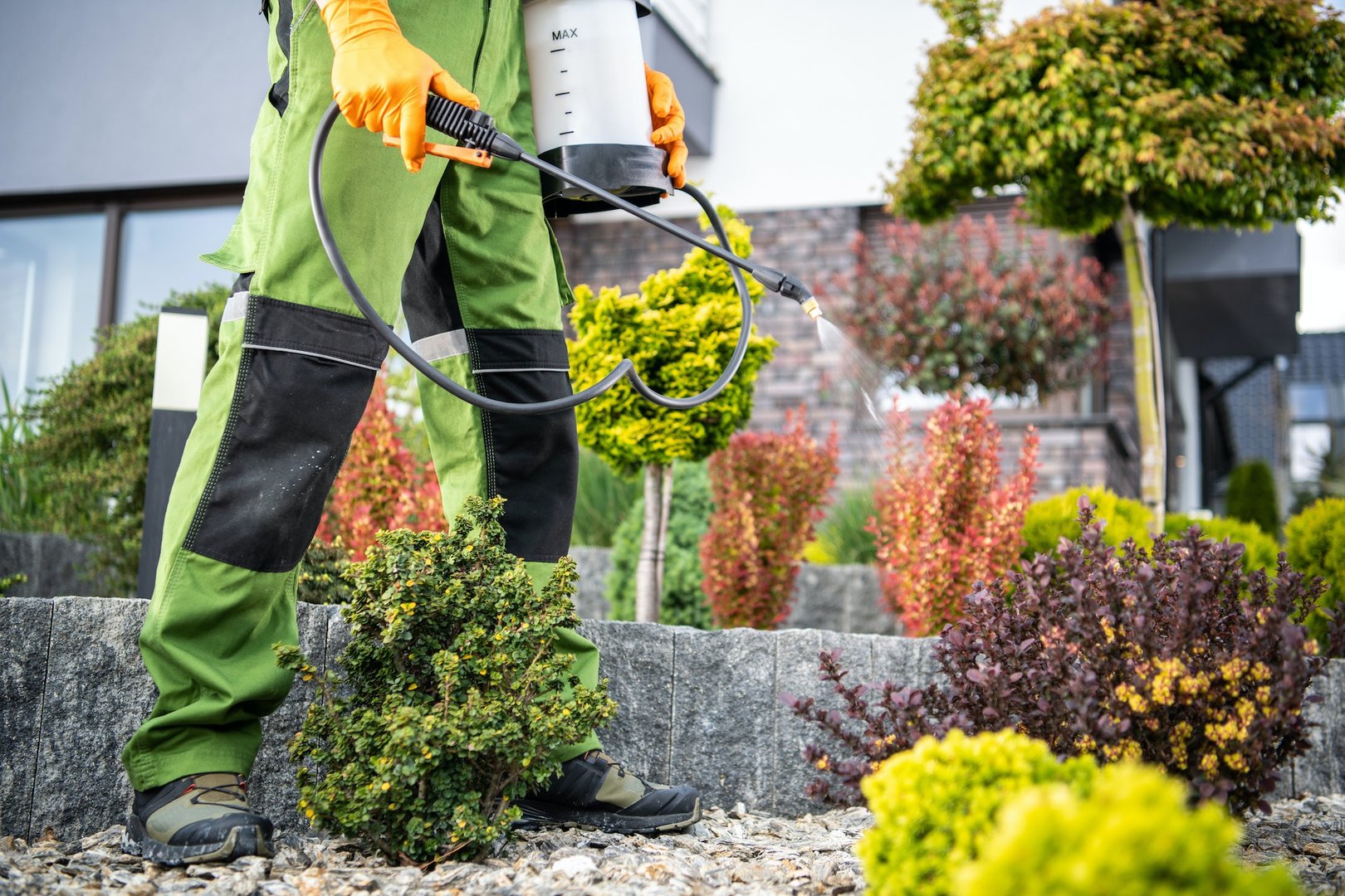 Pest-Attracting Plants