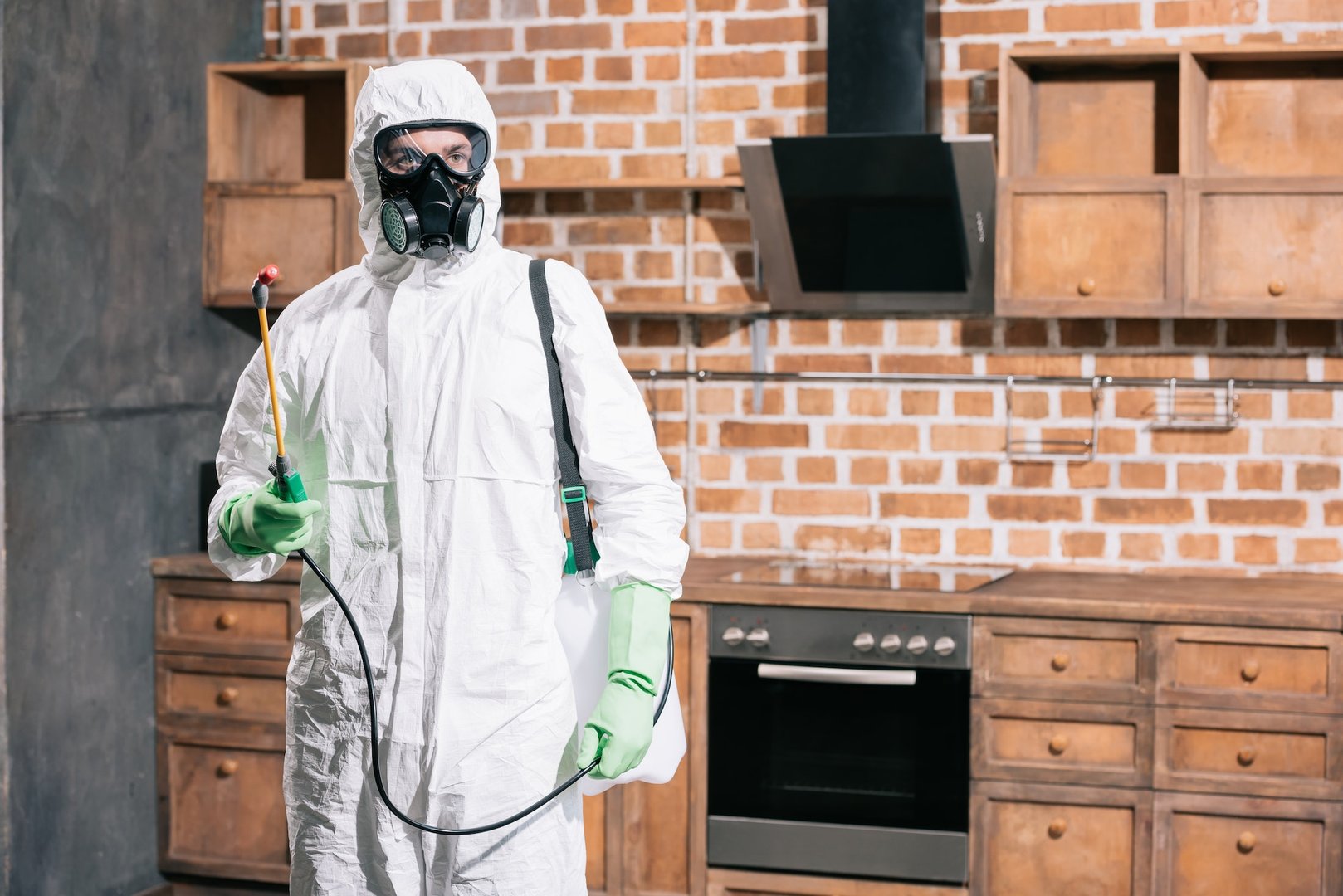 Pest Control Professionals