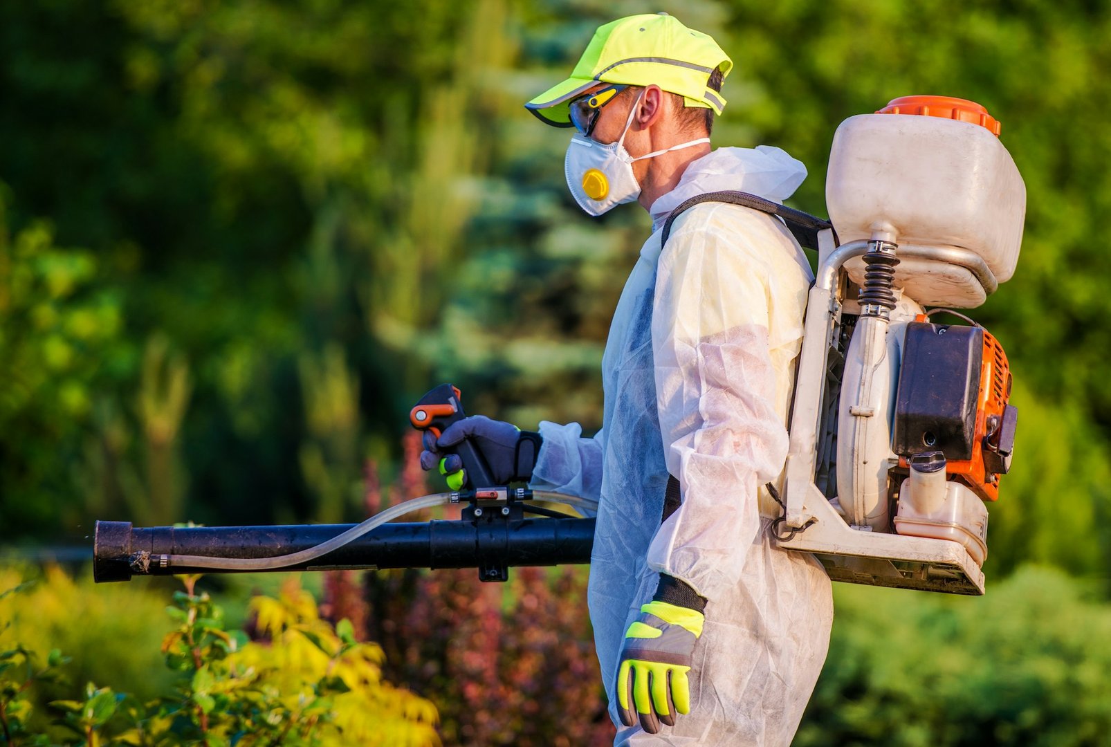 Pest Eradication Services