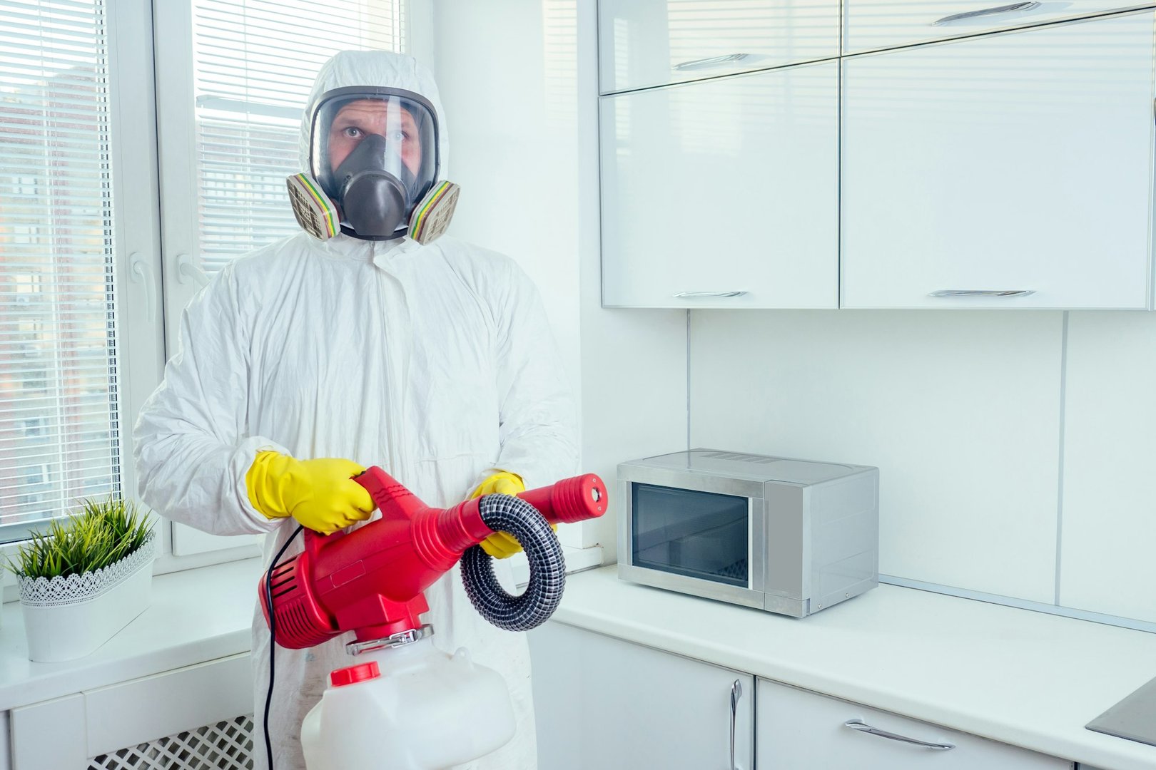 Pest Prevention Services
