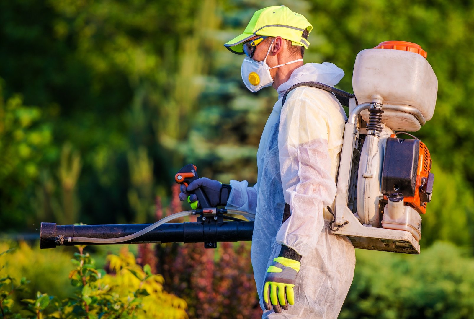 Pest Prevention Services