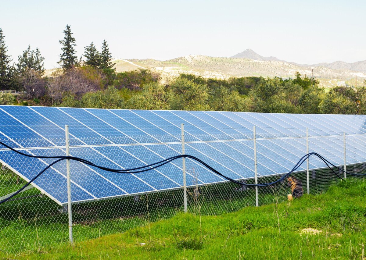 Best Place To Buy Solar Panels