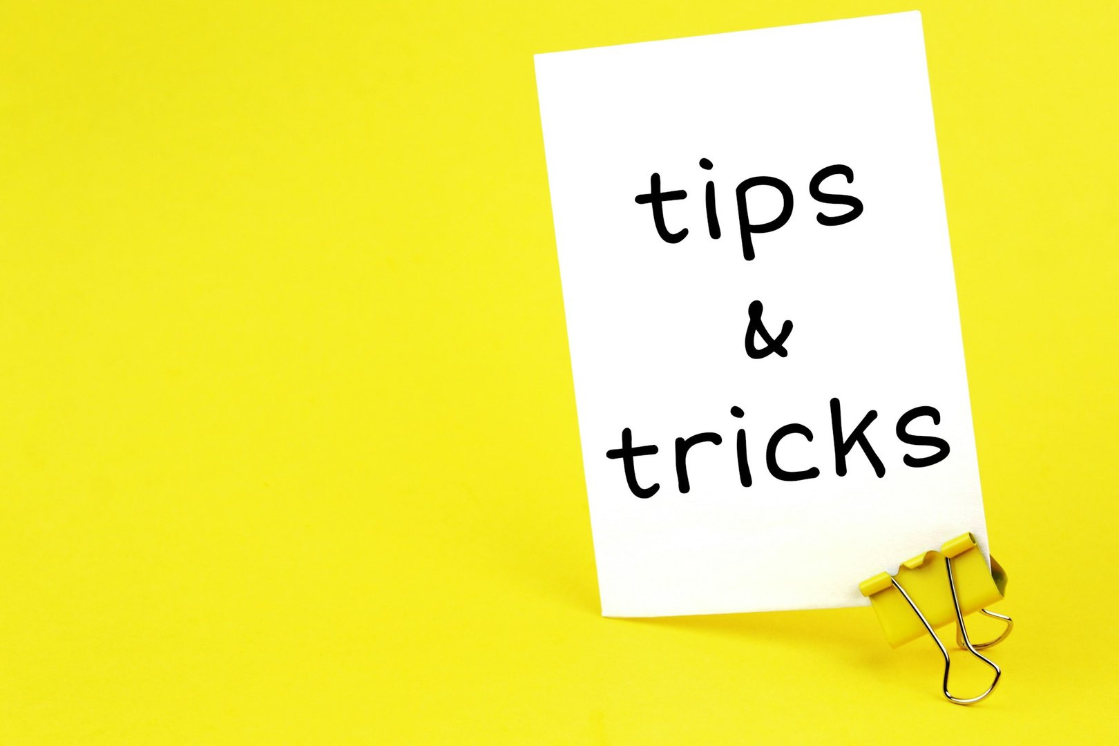 Quick Pest Removal Tips & Tricks