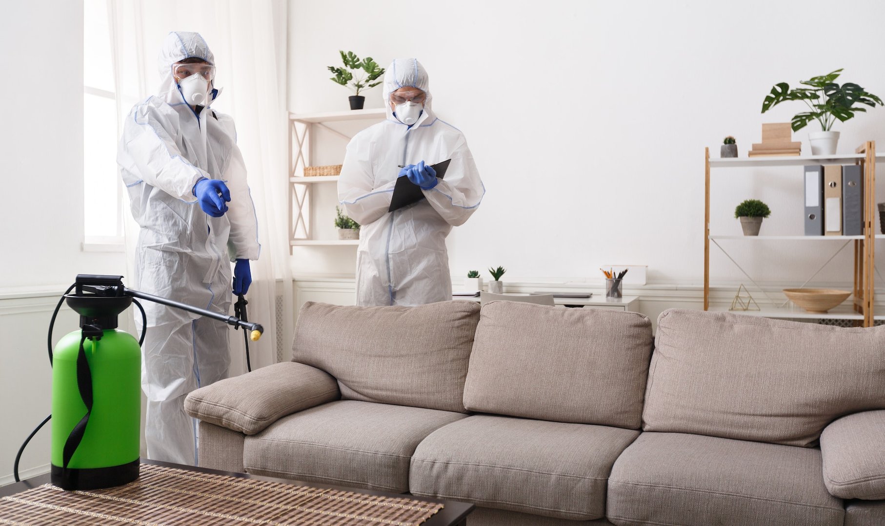 Quick Pest Removal