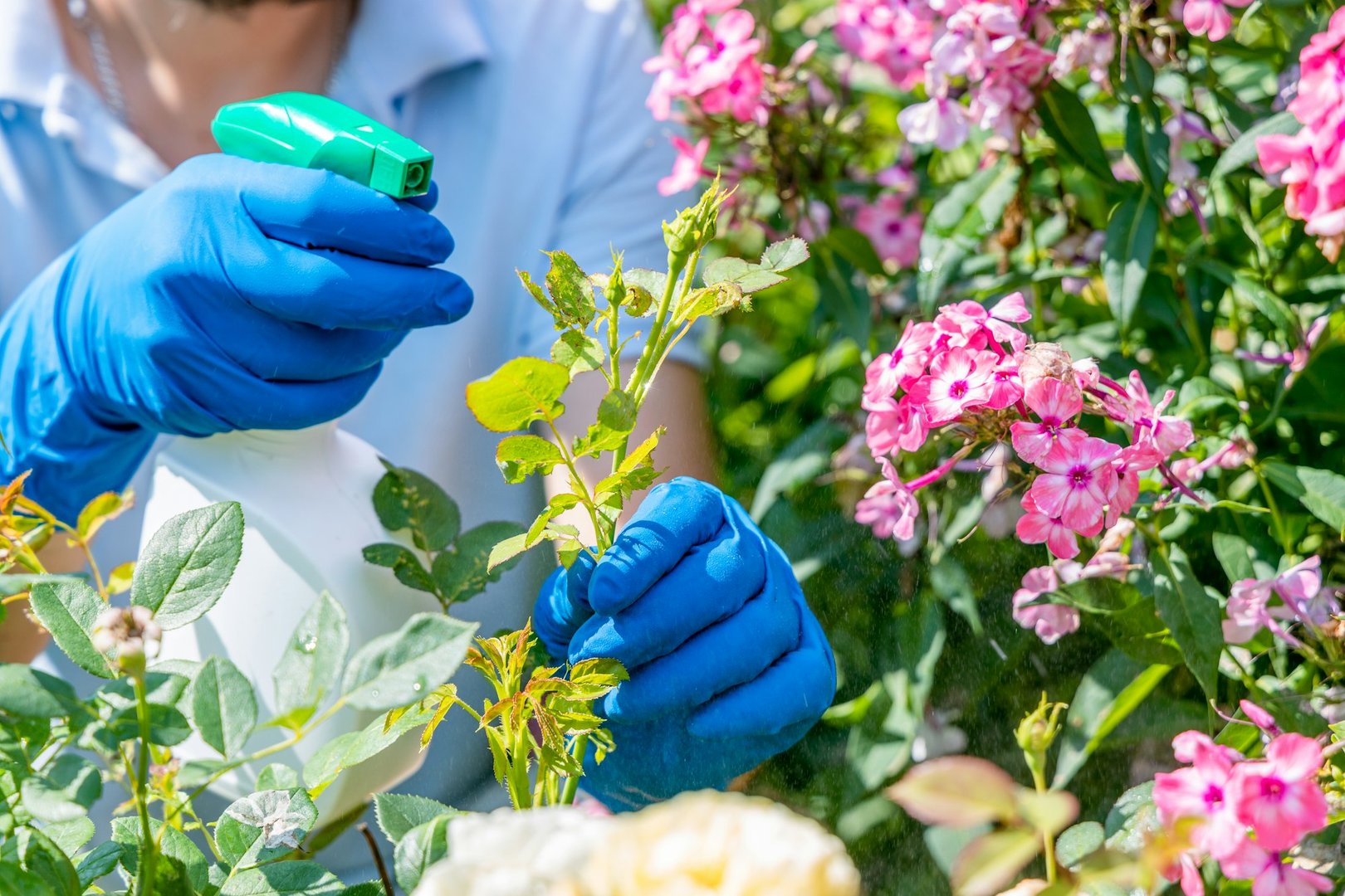 Reliable Insect Control