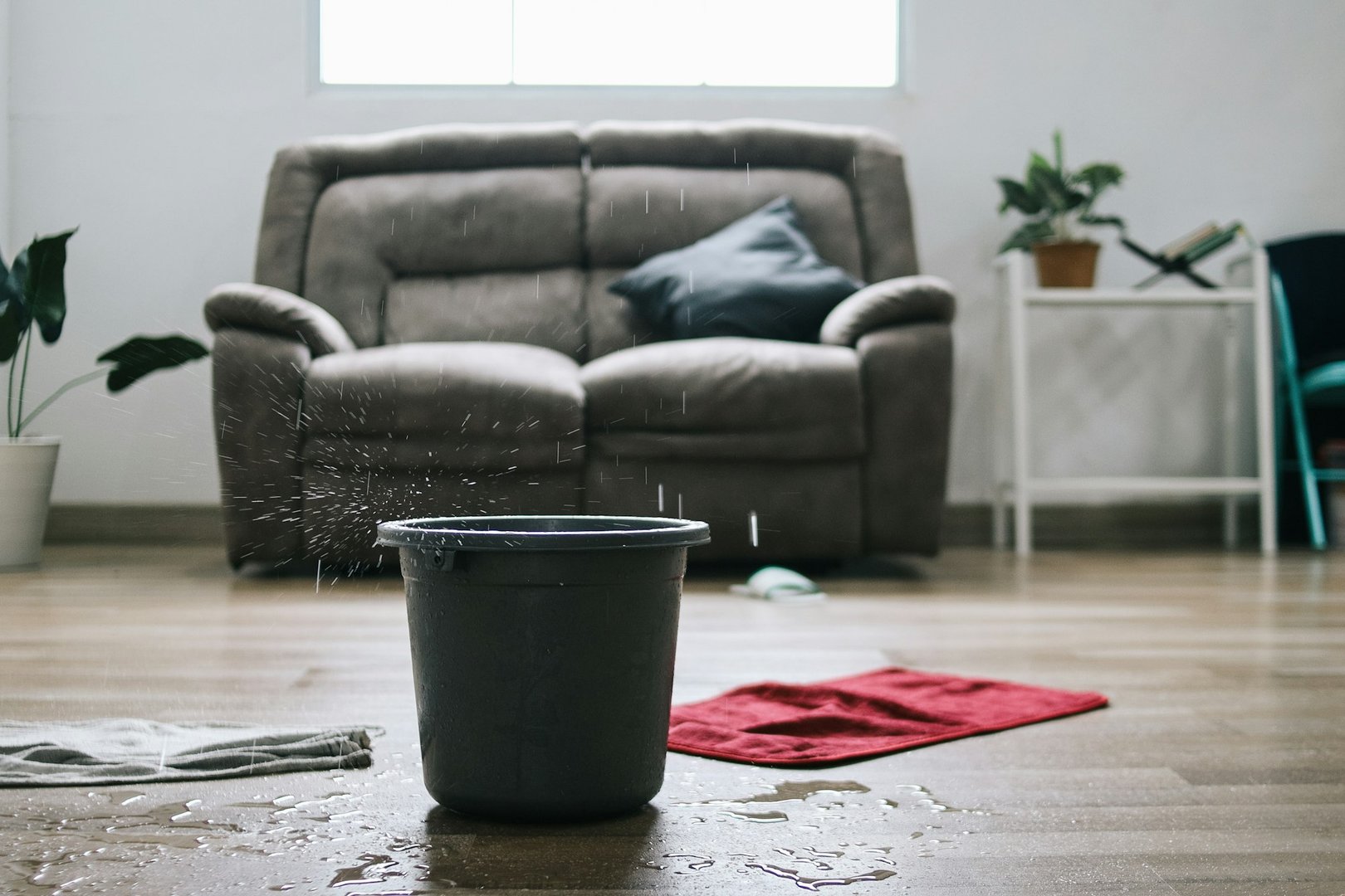 Roof leak detection and repair