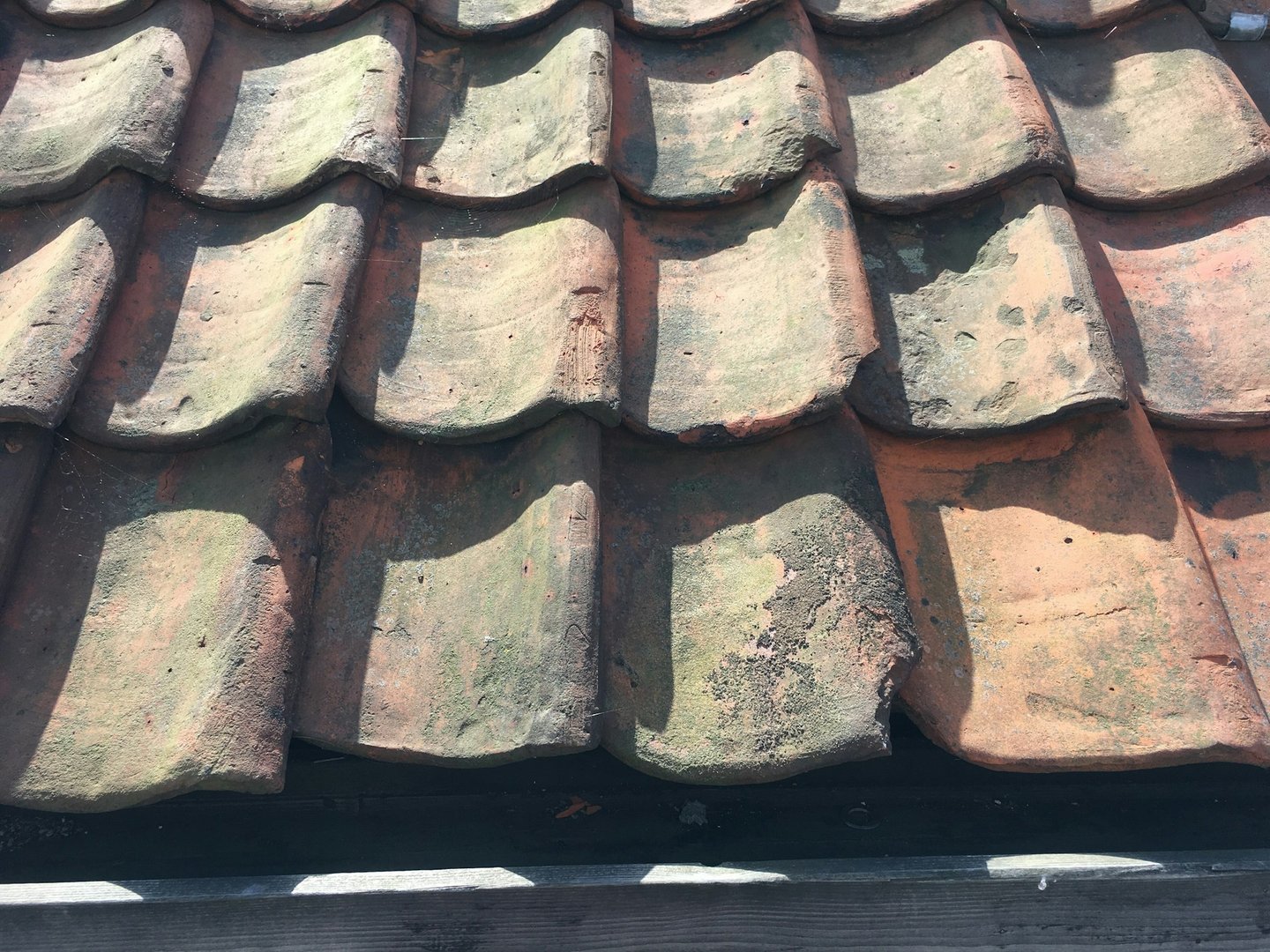Roof maintenance in Montana
