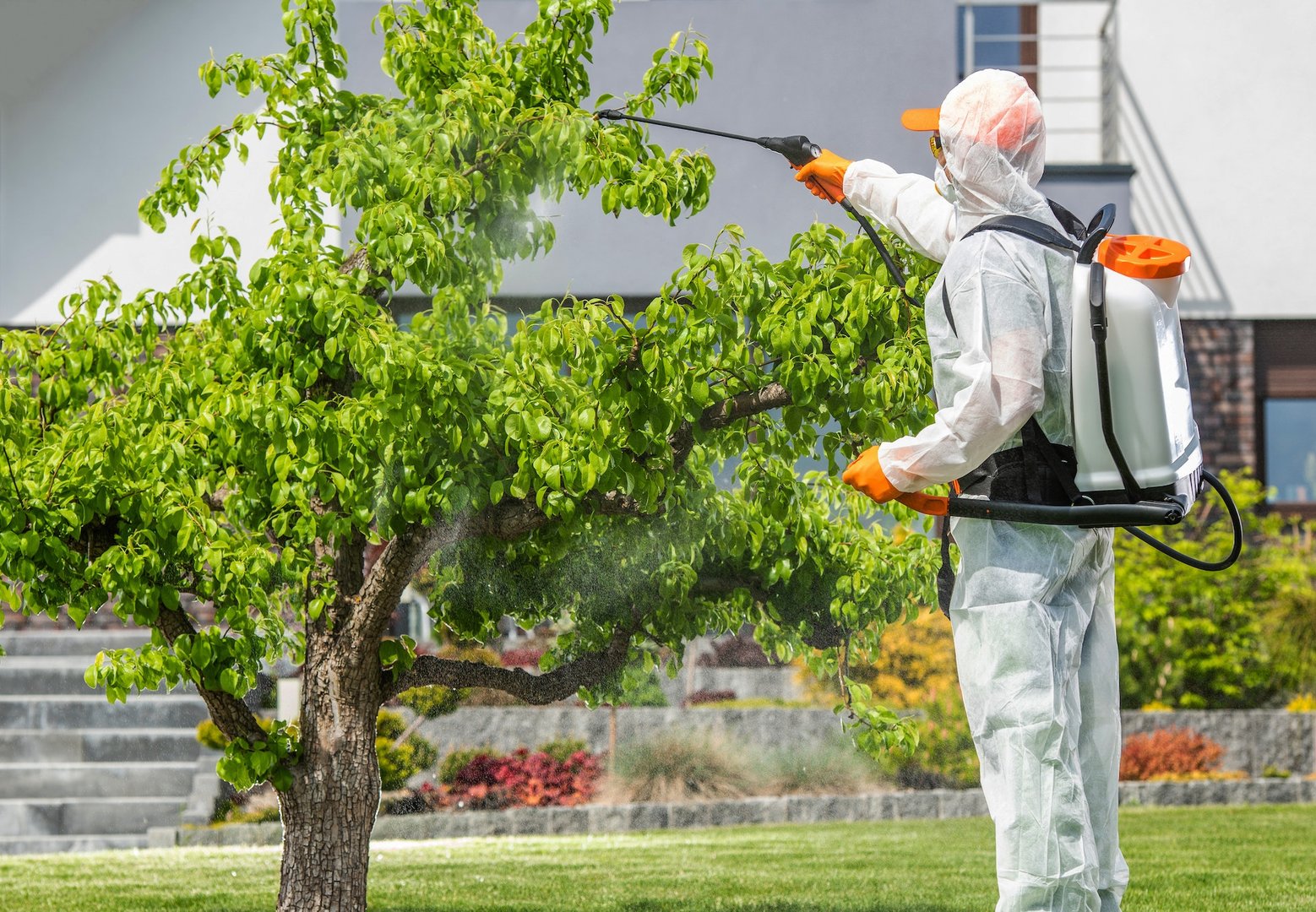 Safe Pest Management