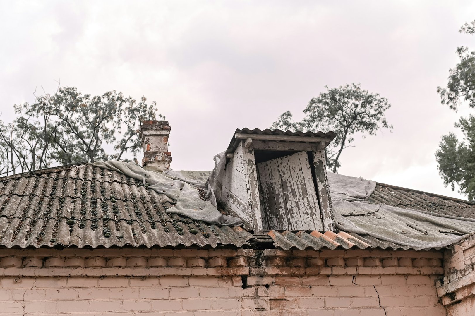 Signs of Roof Damage