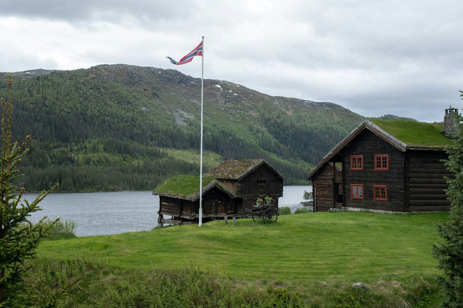 sod homes