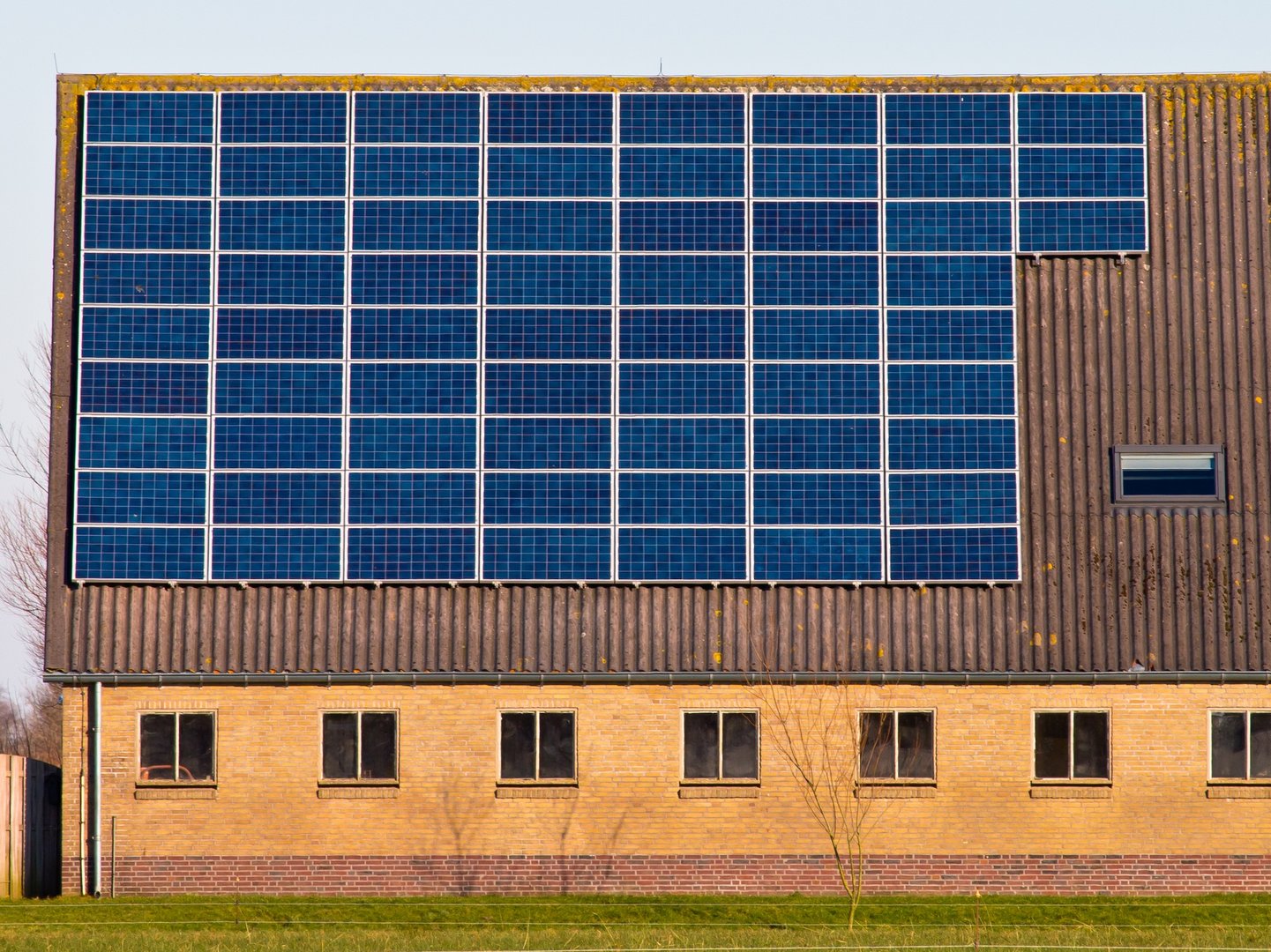 Solar Panel Manufacturer Contact Texas