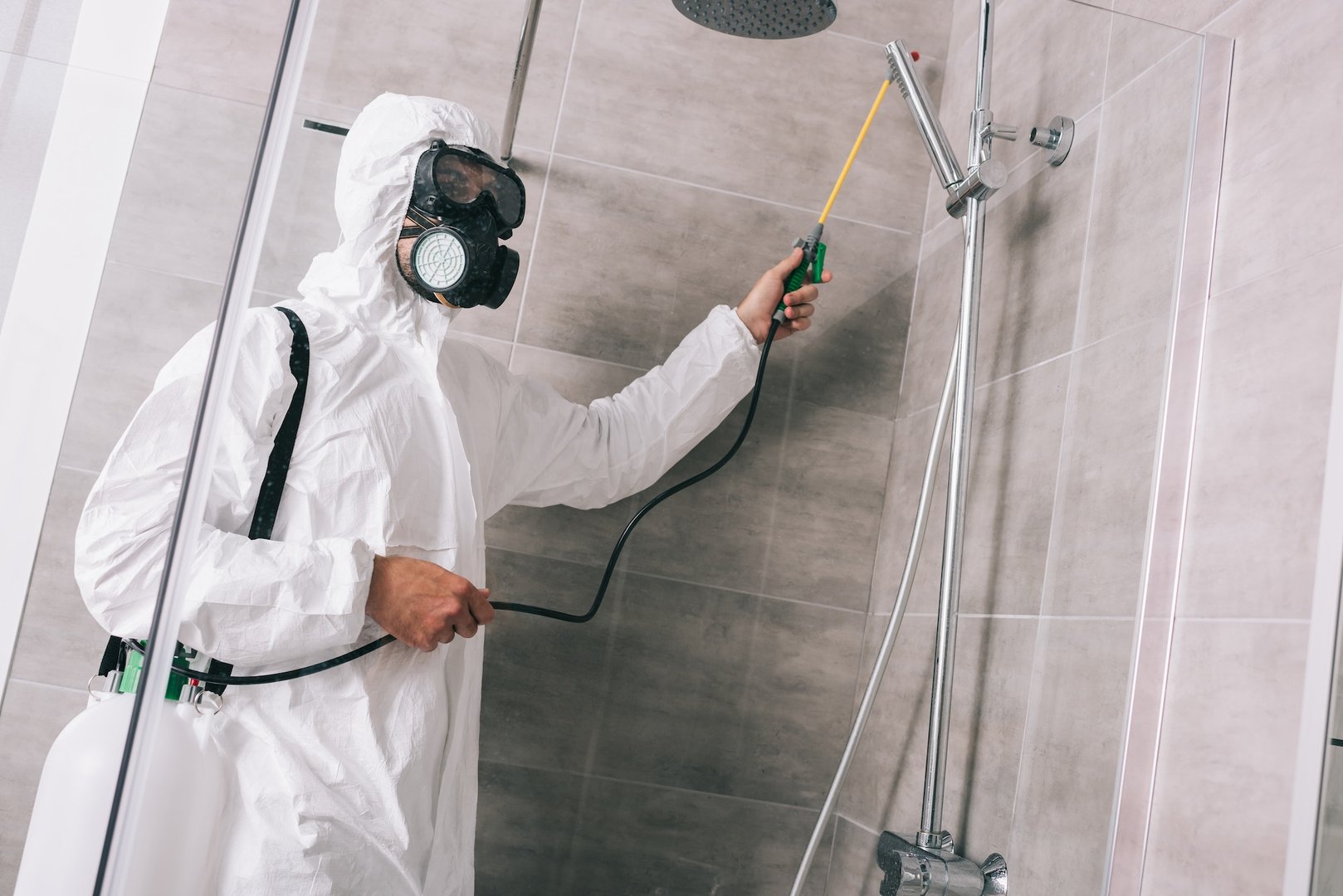 Spider Extermination Services