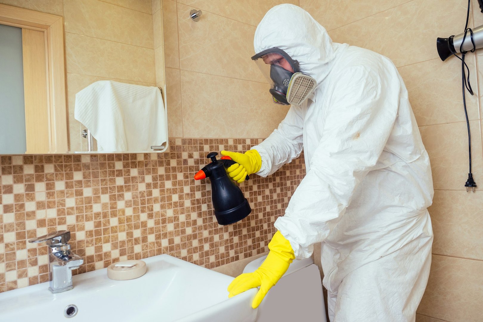 Spider Extermination Services