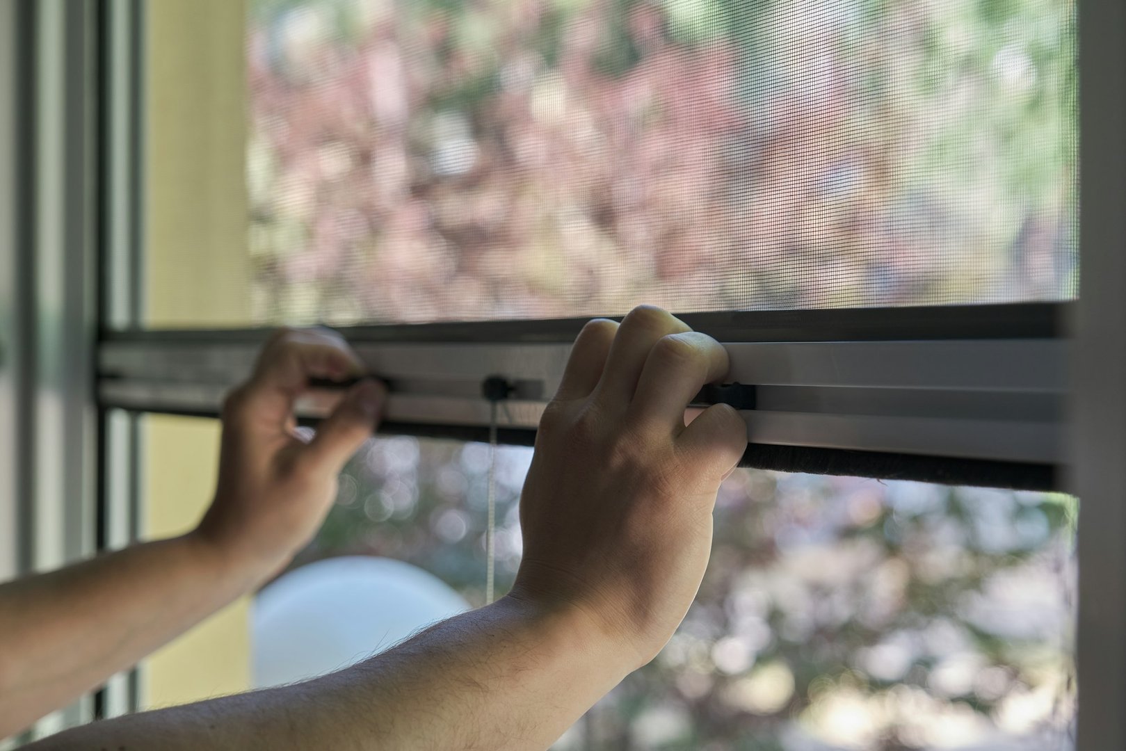 Tips for Stinging Insect Removal