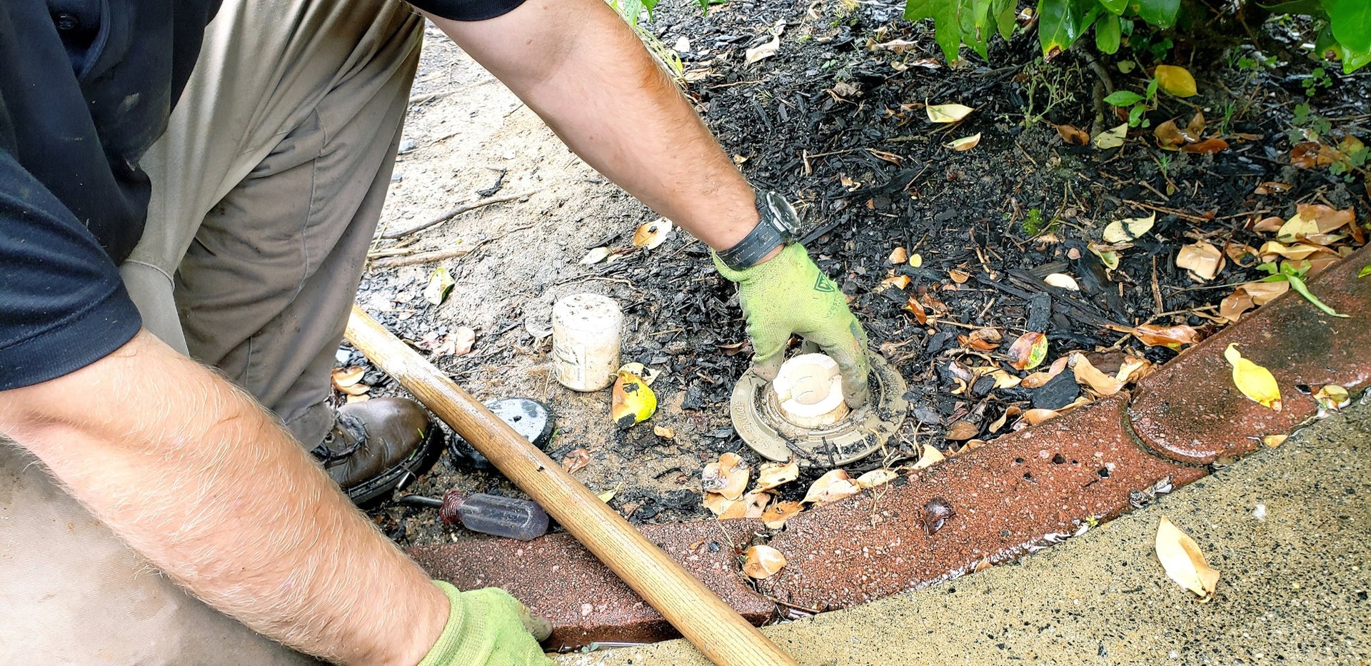 Termite Control