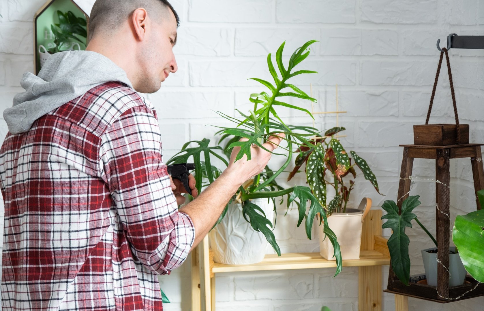 Timely Pest Inspections
