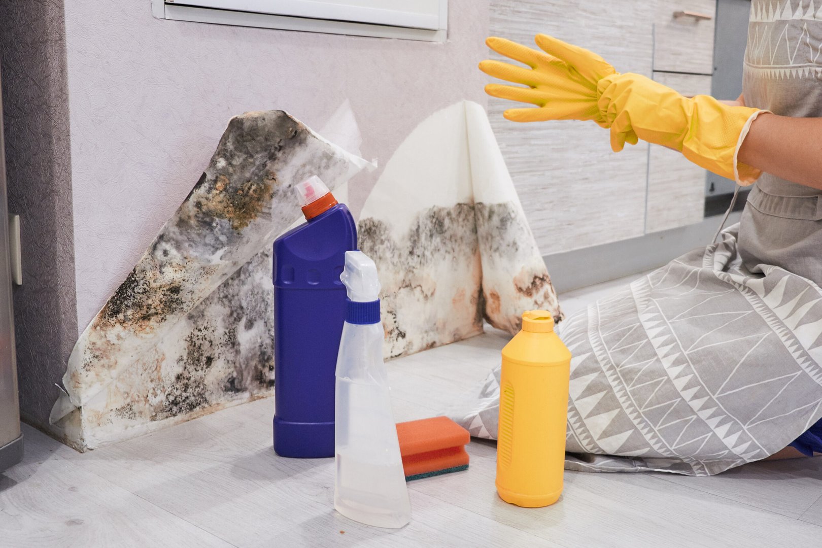Close-up Of A Shocked Woman Looking At Mold On Wall