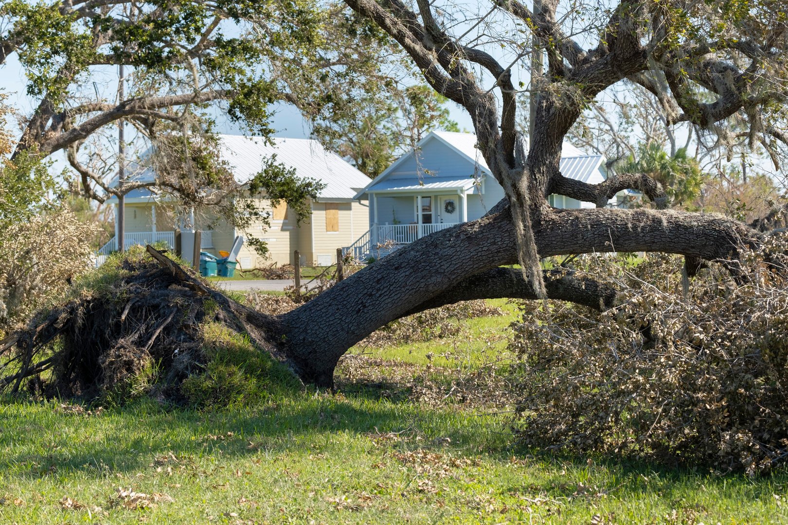 Tree removal after hurricane damage in Florida home backyard. Fallen down debris after strong tropical storm winds.…