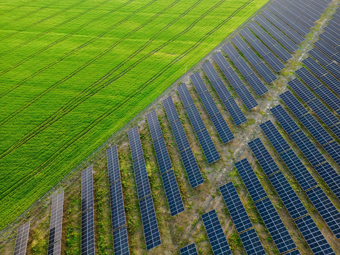 top solar module manufacturers