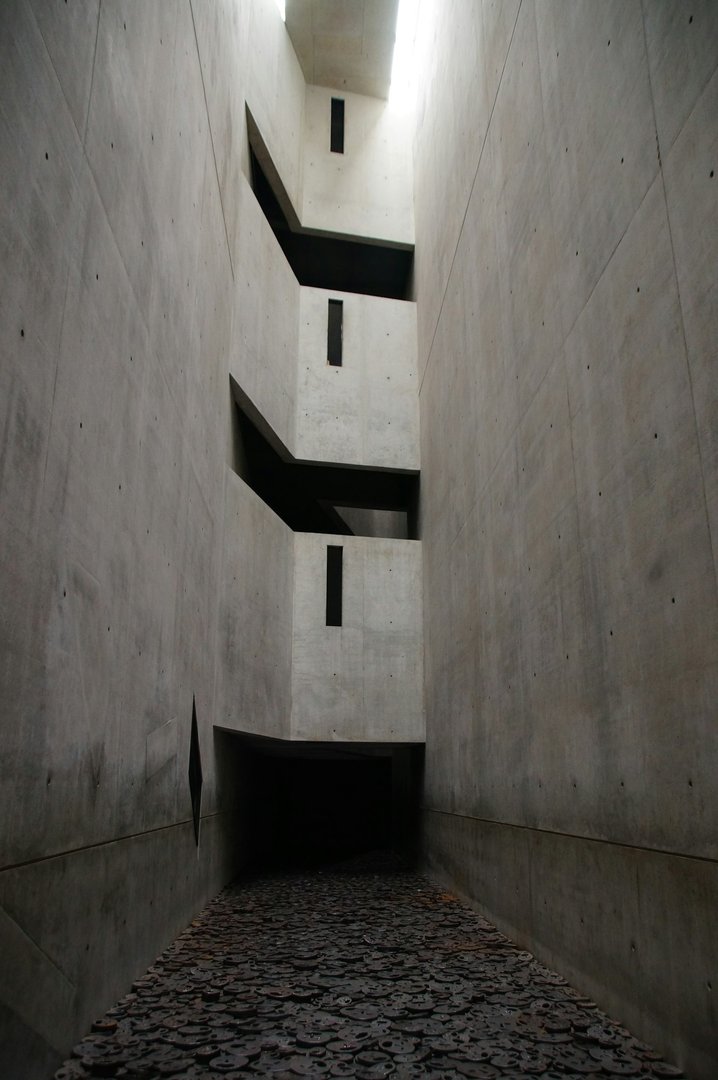 Wall Voids and Cavities Pests